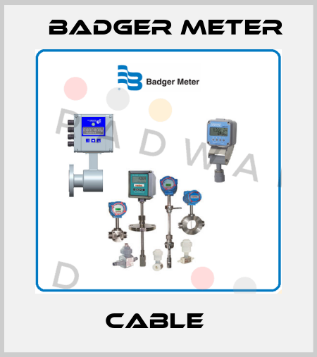 CABLE  Badger Meter