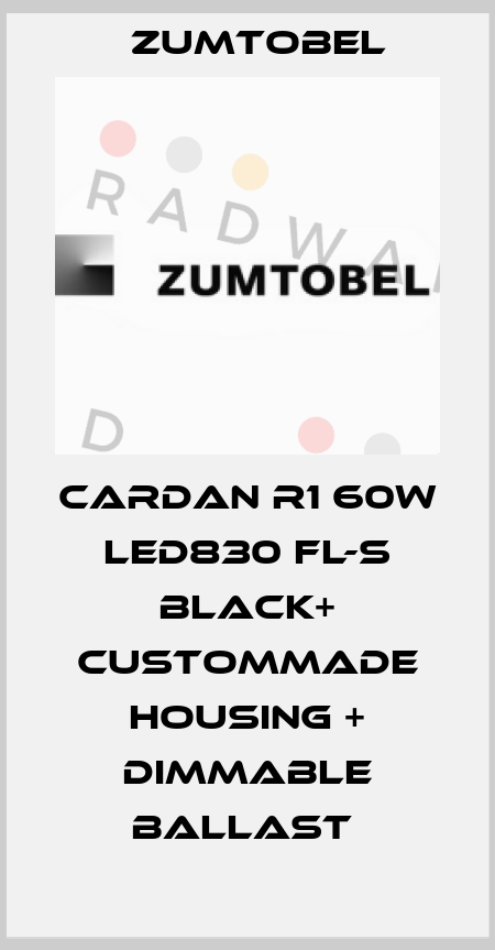 CARDAN R1 60W LED830 FL-S BLACK+ CUSTOMMADE HOUSING + DIMMABLE BALLAST  Zumtobel