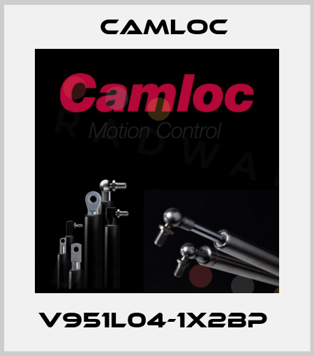 V951L04-1X2BP  Camloc