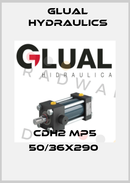 CDH2 MP5 50/36X290  Glual Hydraulics