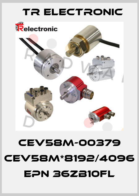 CEV58M-00379 CEV58M*8192/4096 EPN 36ZB10FL TR Electronic