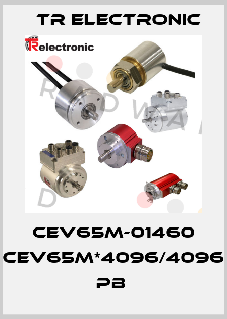CEV65M-01460 CEV65M*4096/4096 PB  TR Electronic