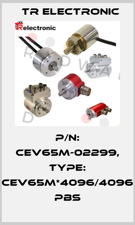 P/N: CEV65M-02299, Type: CEV65M*4096/4096 PBS TR Electronic