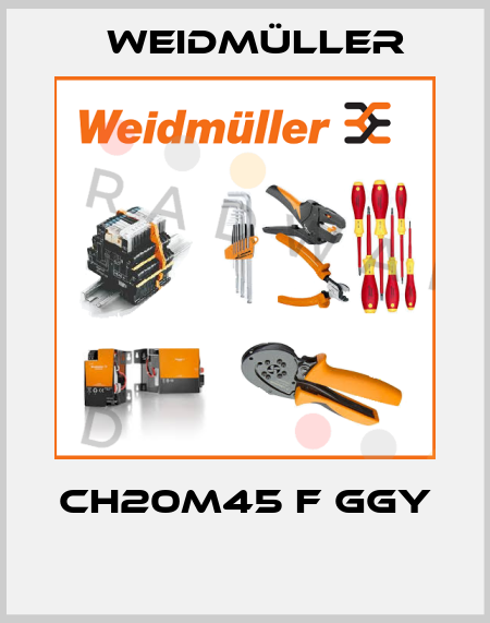 CH20M45 F GGY  Weidmüller