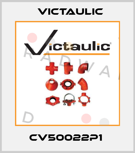 CV50022P1  Victaulic