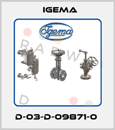 D-03-D-09871-0  Igema
