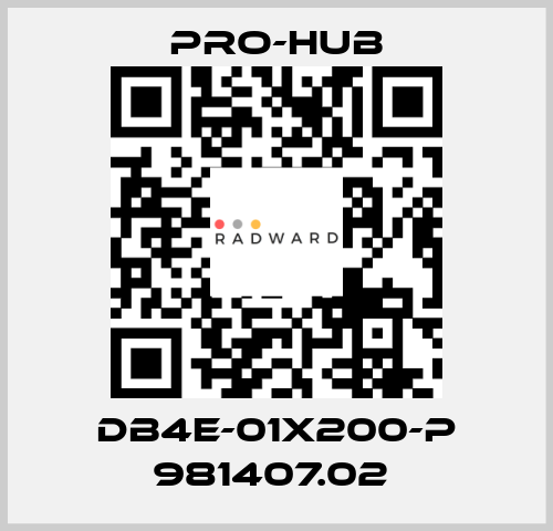 DB4E-01X200-P 981407.02  Pro-Hub