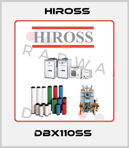 DBX110SS  Hiross