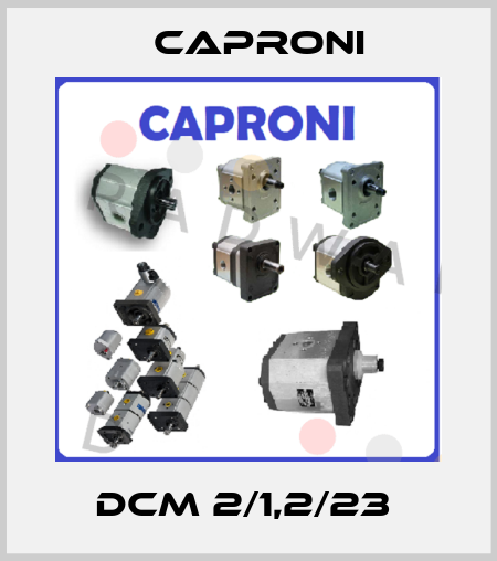 DCM 2/1,2/23  Caproni