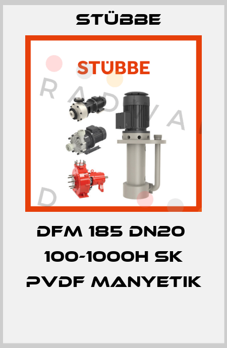DFM 185 DN20  100-1000H SK PVDF MANYETIK  Stübbe
