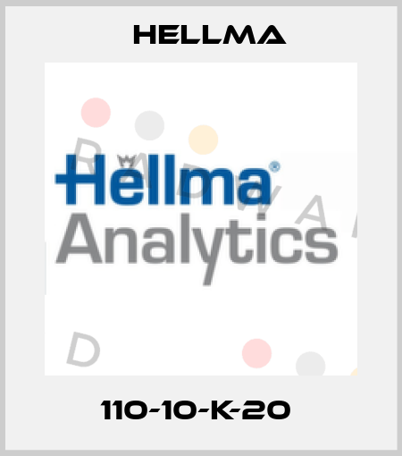 110-10-K-20  Hellma
