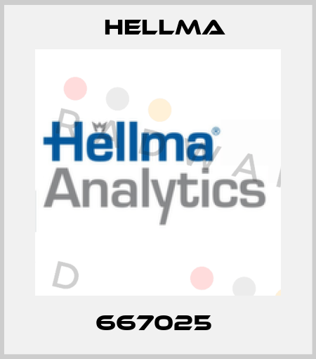 667025  Hellma