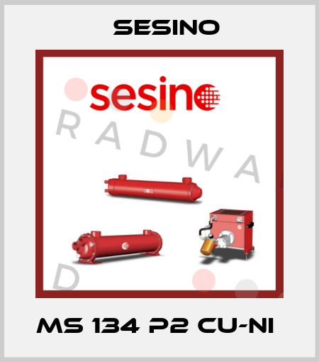 MS 134 P2 Cu-Ni  Sesino