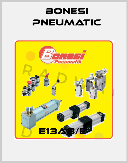 E13A8/E  Bonesi Pneumatic