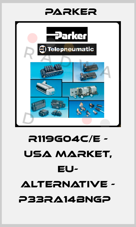 R119G04C/E - USA market, EU- alternative - P33RA14BNGP   Parker
