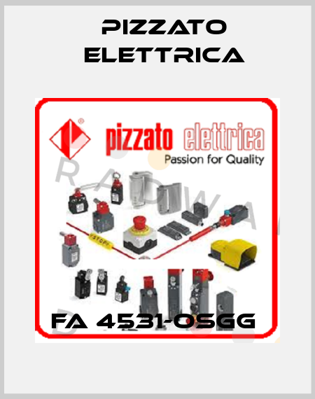 FA 4531-OSGG  Pizzato Elettrica