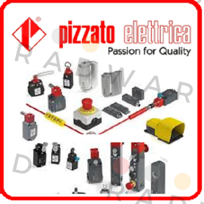 FA 4801-ODMG  Pizzato Elettrica