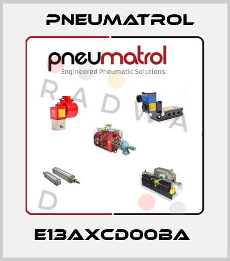 E13AXCD00BA  Pneumatrol