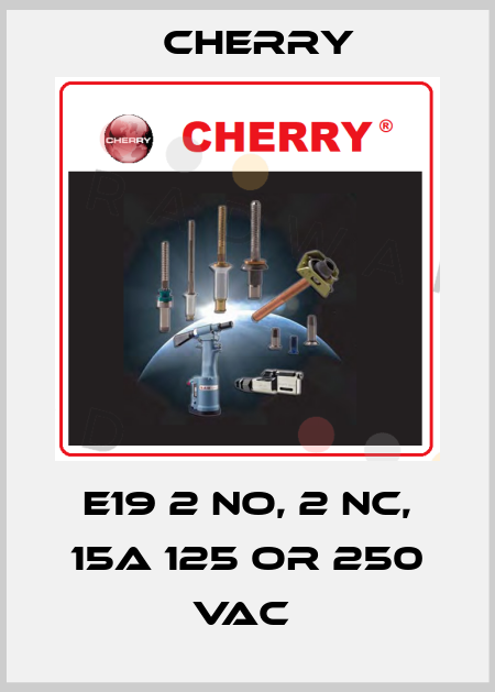 E19 2 NO, 2 NC, 15A 125 OR 250 VAC  Cherry