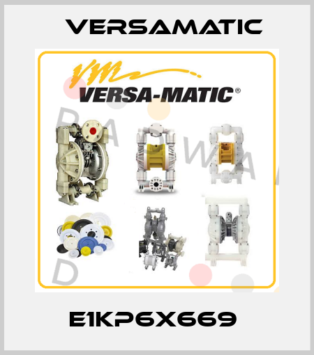 E1KP6X669  VersaMatic