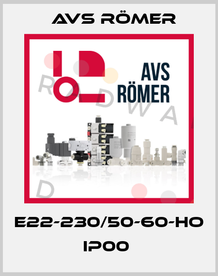 E22-230/50-60-HO IP00  Avs Römer