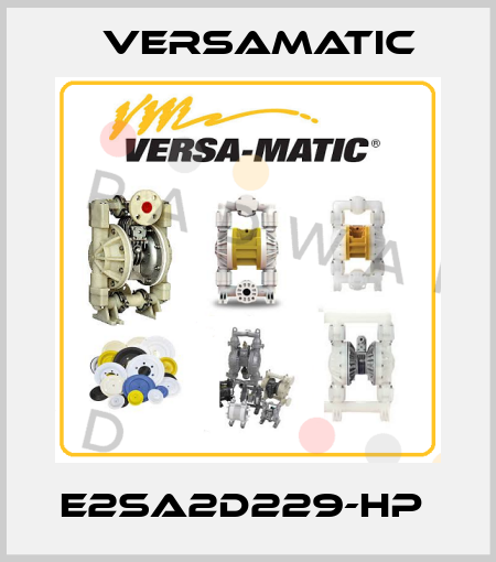E2SA2D229-HP  VersaMatic