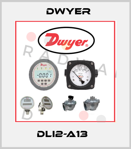 DLI2-A13   Dwyer