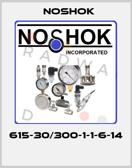 615-30/300-1-1-6-14  Noshok