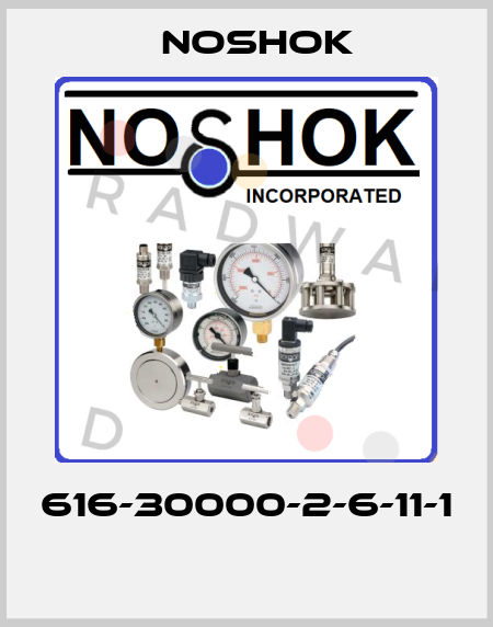 616-30000-2-6-11-1  Noshok