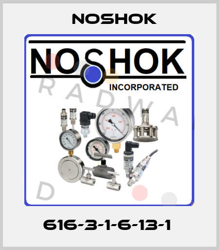 616-3-1-6-13-1  Noshok