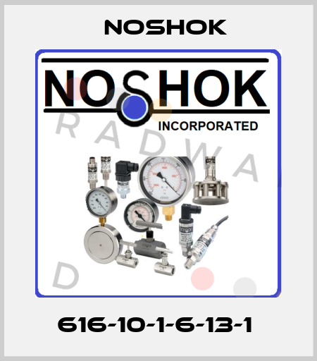 616-10-1-6-13-1  Noshok