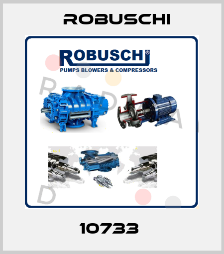 10733  Robuschi