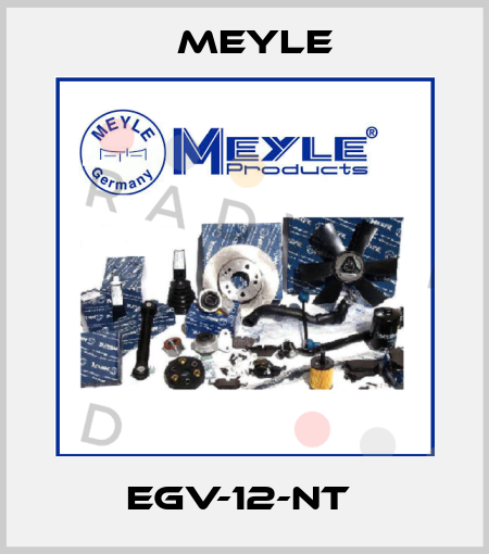 EGV-12-NT  Meyle