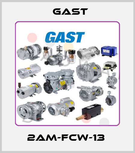 2AM-FCW-13  Gast