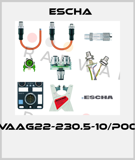 VAAG22-230.5-10/P00  Escha