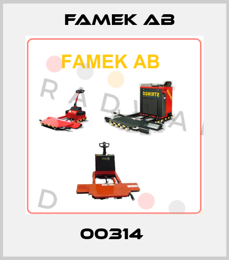 00314  Famek Ab