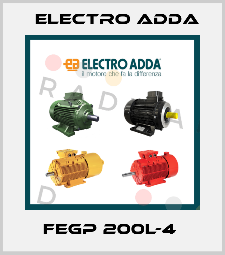 FEGP 200L-4  Electro Adda