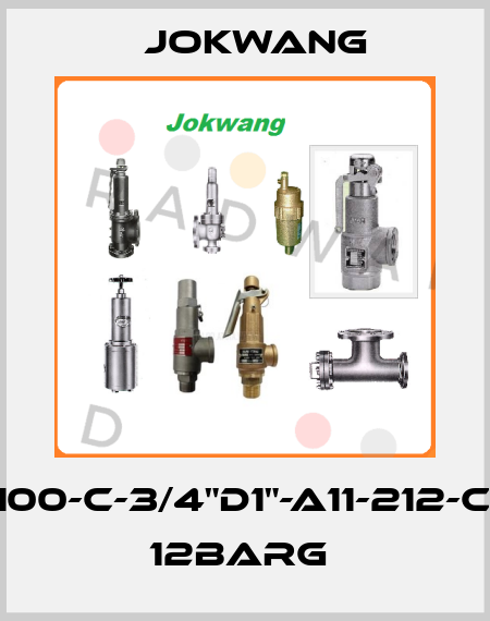 FF100-C-3/4"D1"-A11-212-CN2 12BARG  Jokwang