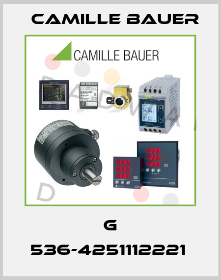 G 536-4251112221  Camille Bauer