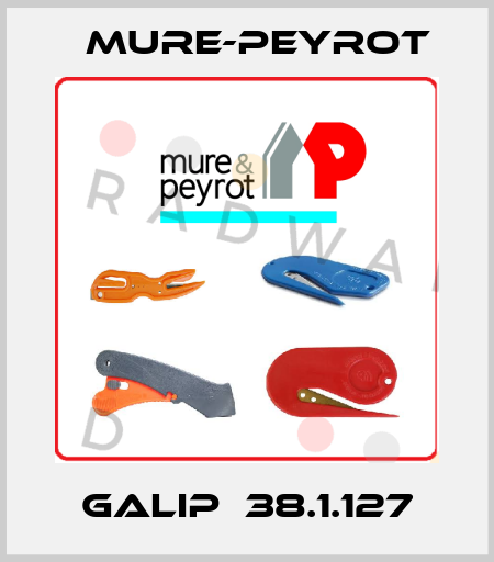 GALIP  38.1.127 Mure-Peyrot
