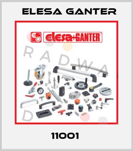 11001  Elesa Ganter