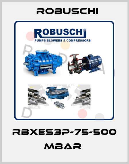 RBXES3P-75-500 mbar  Robuschi