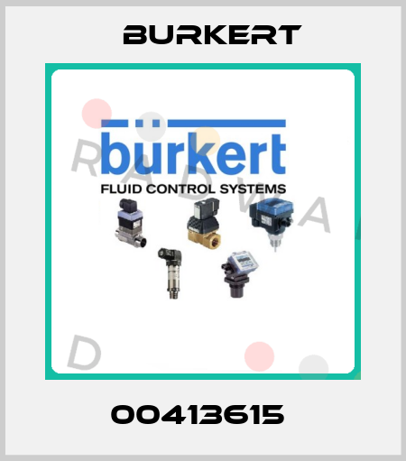 00413615  Burkert