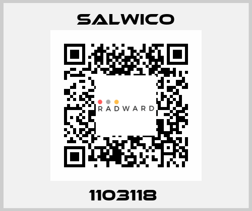 1103118  Salwico