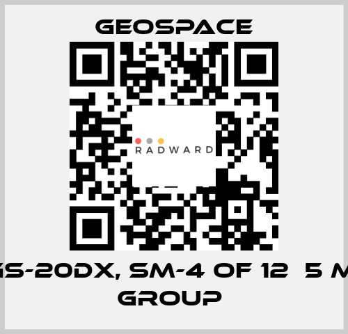 GS-20DX, SM-4 OF 12Х5 M, GROUP  GeoSpace