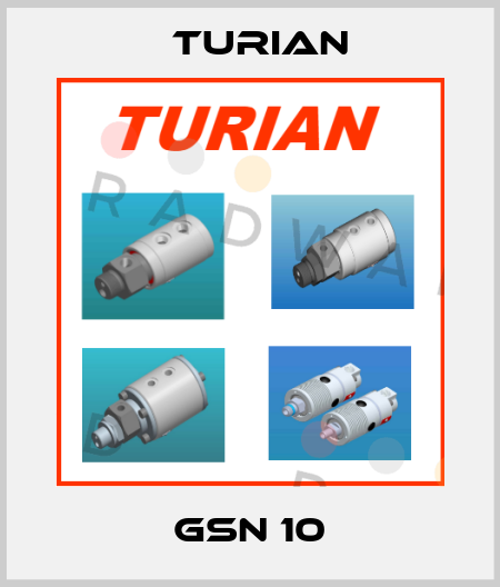 GSN 10 Turian