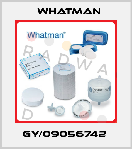 GY/09056742  Whatman