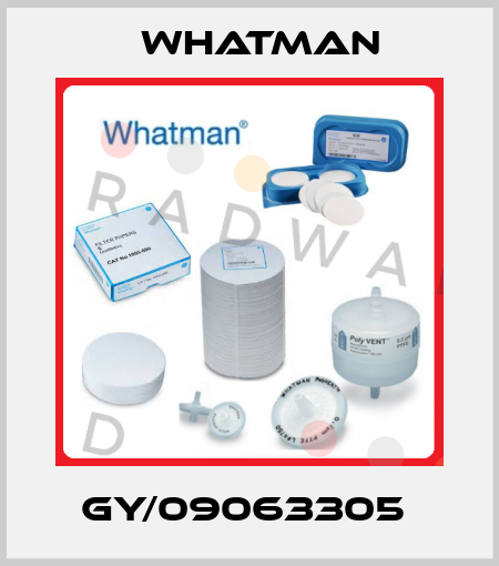 Gy/09063305  Whatman