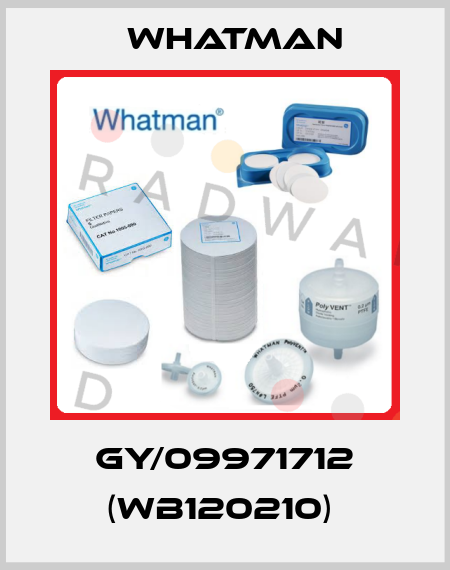 GY/09971712 (WB120210)  Whatman