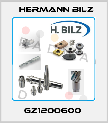 GZ1200600  Hermann Bilz